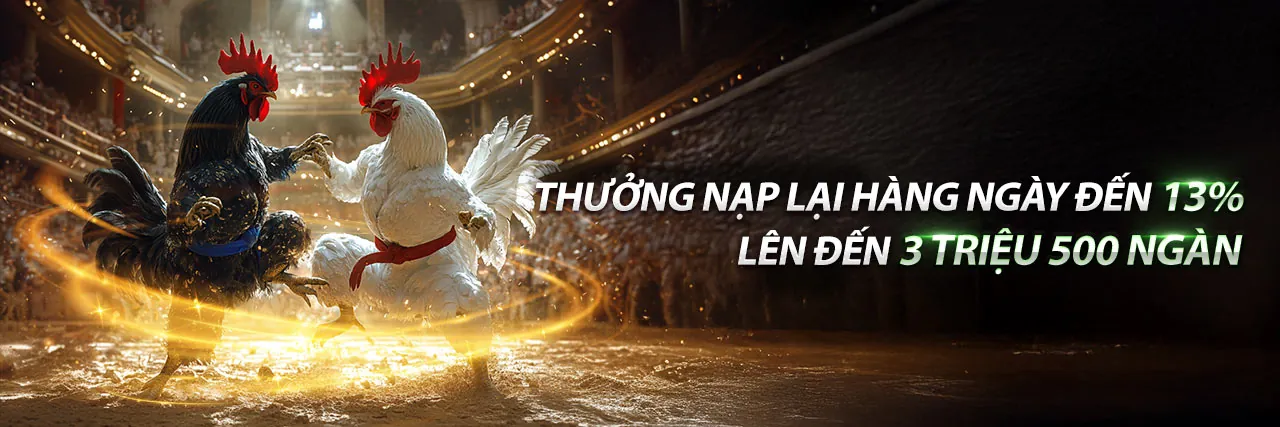 Đá gà trực tiếp Thomo